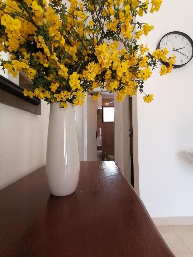 Apartment Borovi With Terrace And Parking بوداكا المظهر الخارجي الصورة